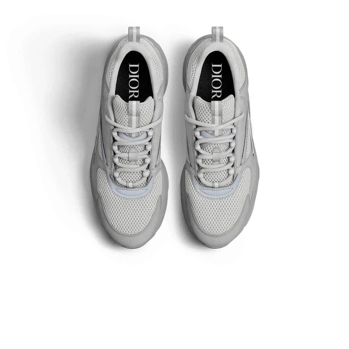 Dior B22 Trainer - (Grey)